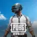 1735404541pubg-mobile.webp